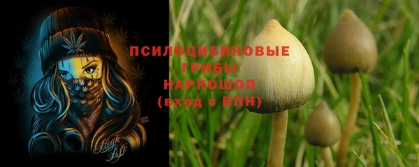 прущий лед Пестово
