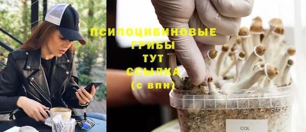 гашиш Арсеньев