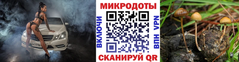 блэк спрут зеркало Узловая Галлюциногенные грибы Magic Shrooms